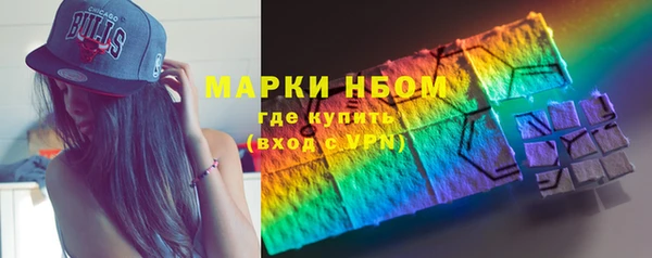 сатива Каменногорск