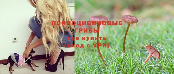 таблы Каменка