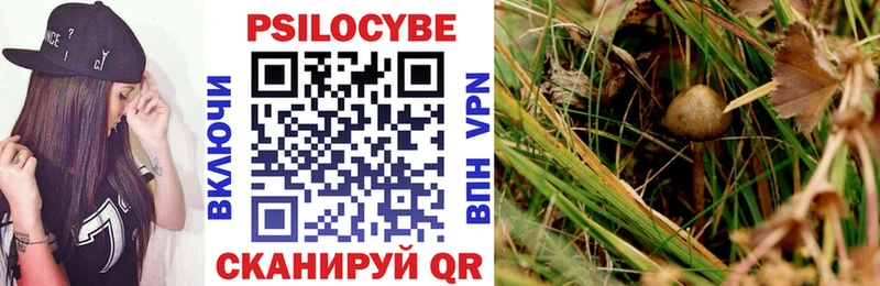 Купить где  Ипатово  Галлюциногенные грибы Psilocybine cubensis 