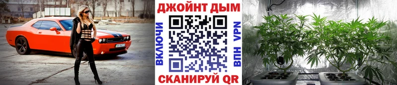 Бошки Шишки планчик  Купить закладки  Ипатово 